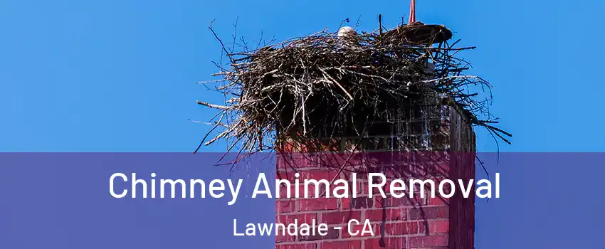  Chimney Animal Removal Lawndale - CA