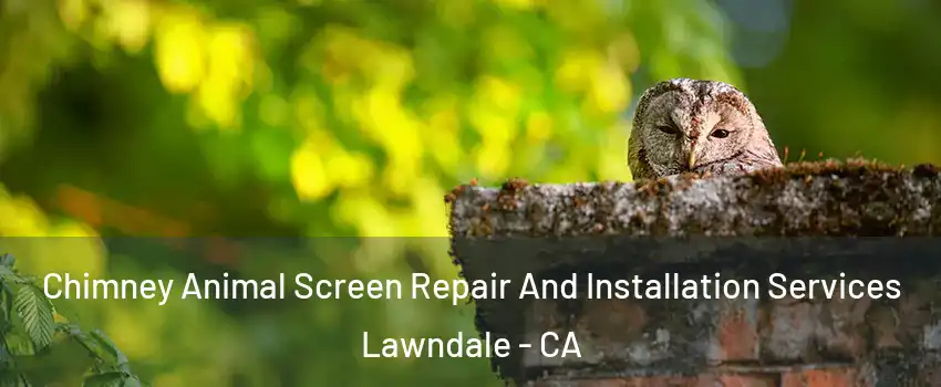  Chimney Animal Screen Repair And Installation Services Lawndale - CA