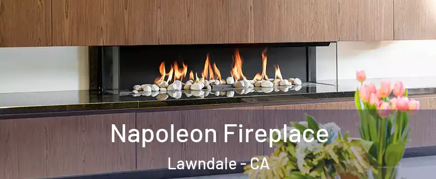  Napoleon Fireplace Lawndale - CA